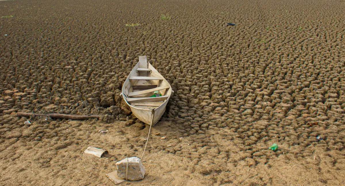 Brasil promete restaurar 163 mil km² de terras até 2030