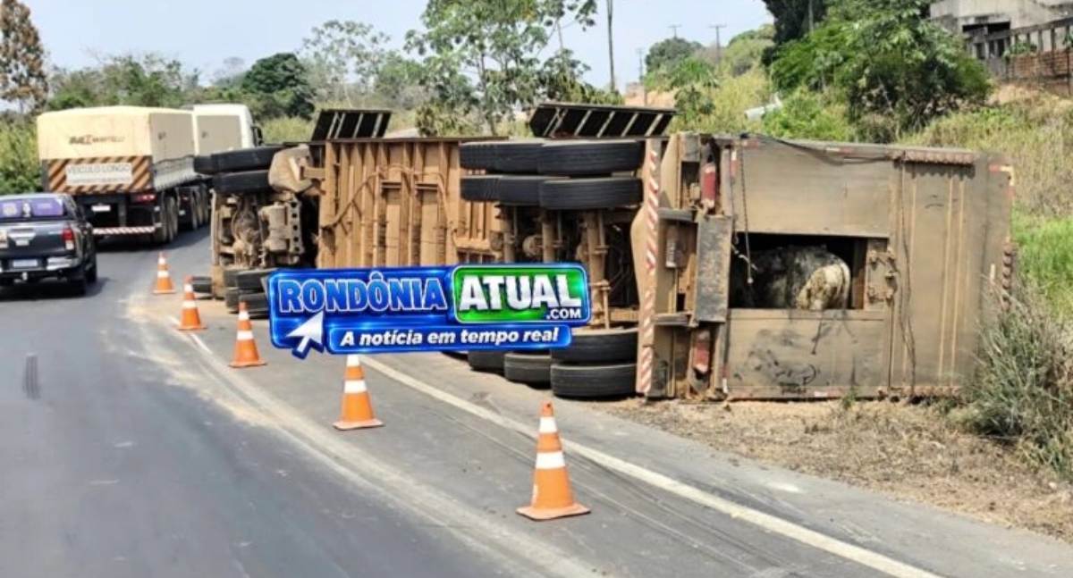 Caminhão carregado com bovinos tomba em rotatória do Anel Viário de RO