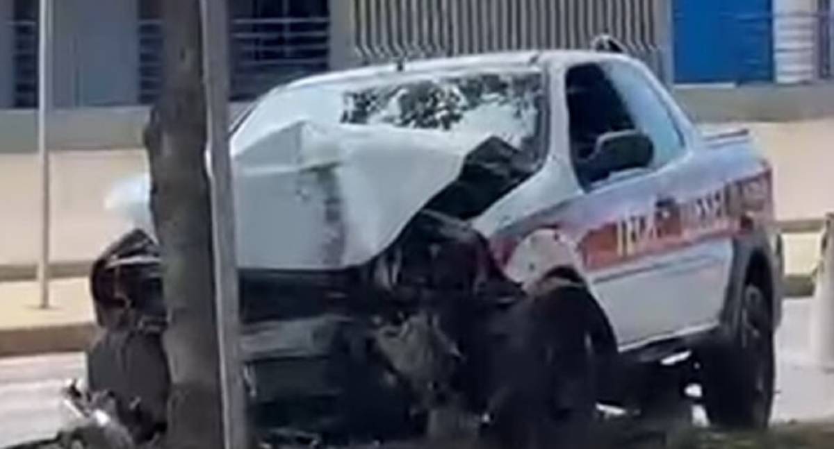Carro de empresa invade canteiro central e destrói árvore e placa de sinalização na Avenida Guaporé em Porto Velho