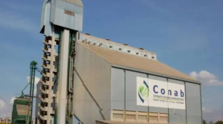 Conab estima produção de cana-de-açúcar em 705,2 milhões de toneladas na safra 2026/27