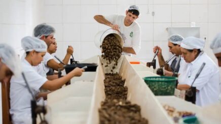 Consulta pública do Mdic sobre produtos sustentáveis do Mercosul termina em 2 de setembro