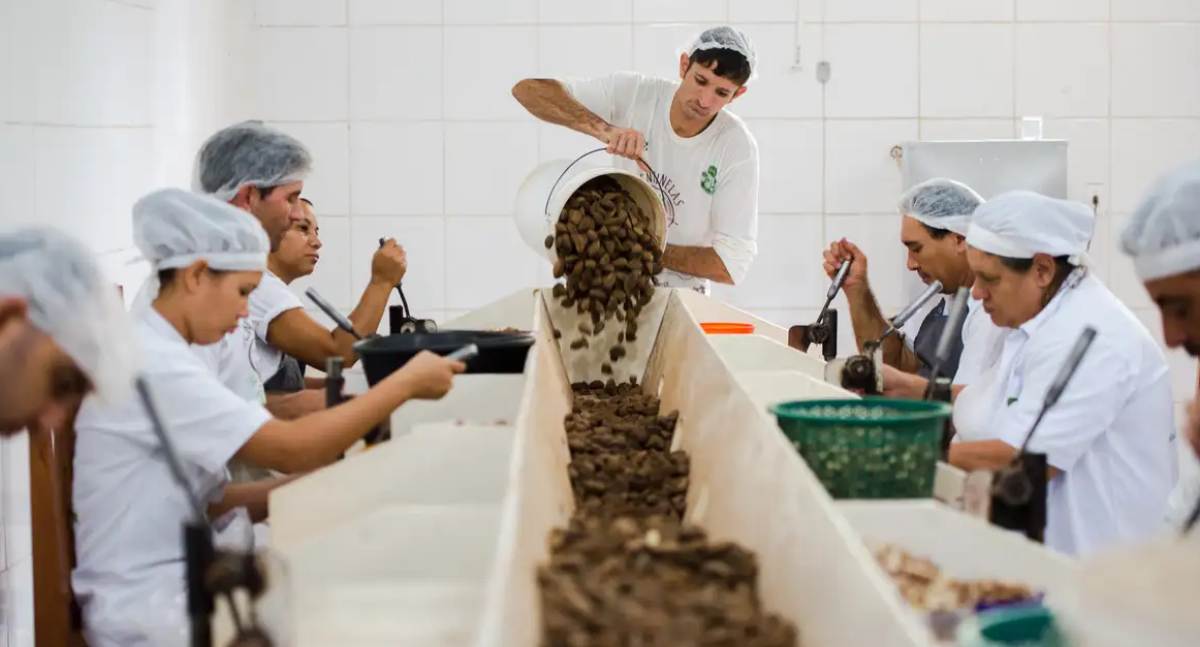 Consulta pública do Mdic sobre produtos sustentáveis do Mercosul termina em 2 de setembro