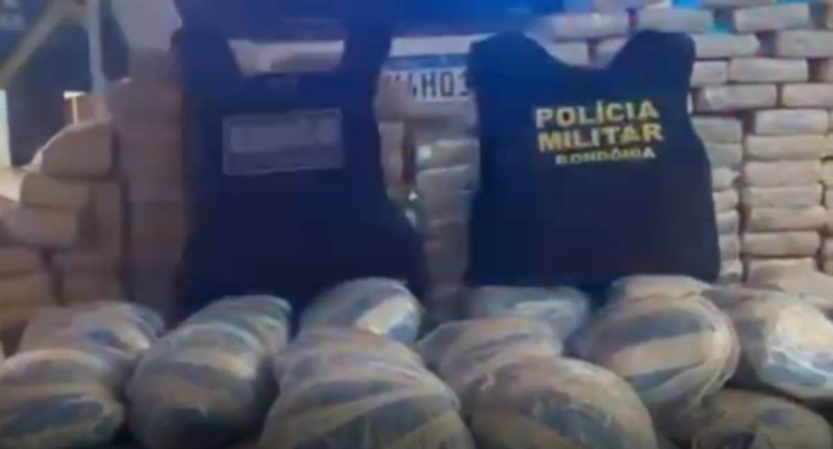 Forças de segurança apreendem cerca de 250 quilos de skunk em São Francisco do Guaporé