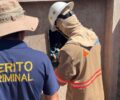 Gato: Ações de combate ao furto de energia resultam em 10 prisões em agosto em Rondônia