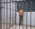 Homem de 41 anos é preso em flagrante após agredir companheira e enteada em Porto Velho