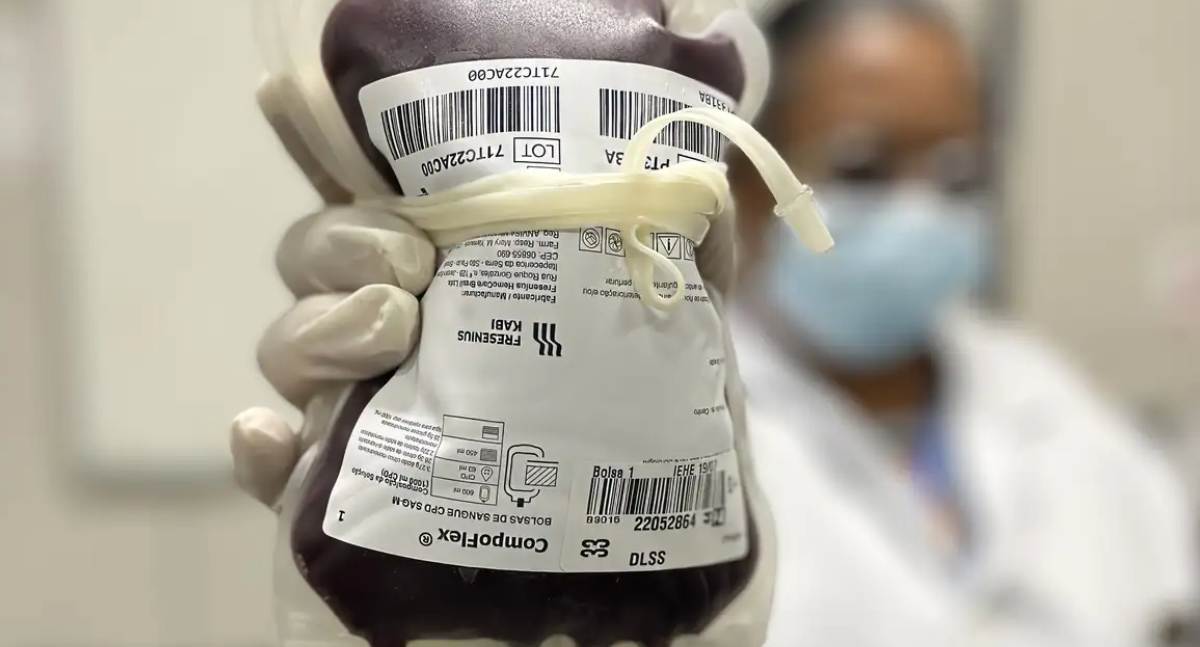 Junho passa a integrar calendário oficial de incentivo à doação de sangue no país