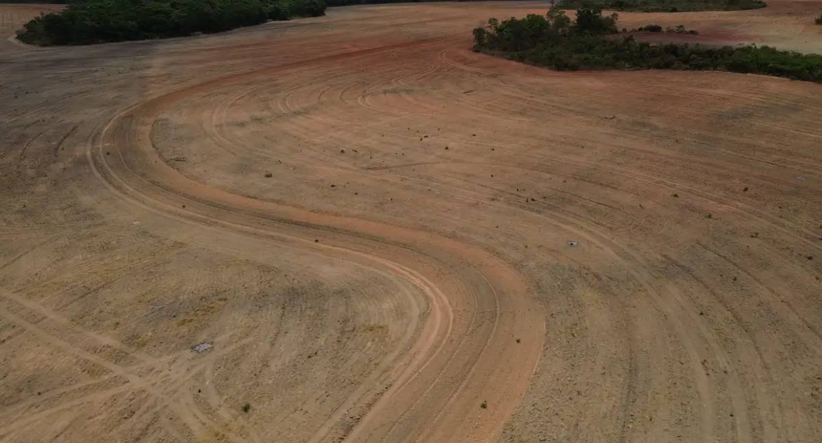 Leis de Rondônia e Mato Grosso contra Moratória da Soja são validadas pelo STF e geram alerta ambiental