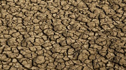 Milhões de brasileiros enfrentam avanço da desertificação e degradação ambiental