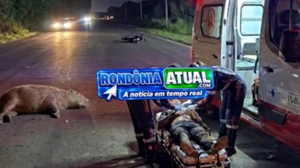 Motociclista fica ferido após colidir com capivara na rodovia RO-135 em RO