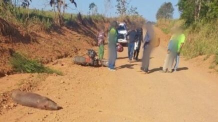 Motociclista fica ferido após colidir com capivara na zona rural