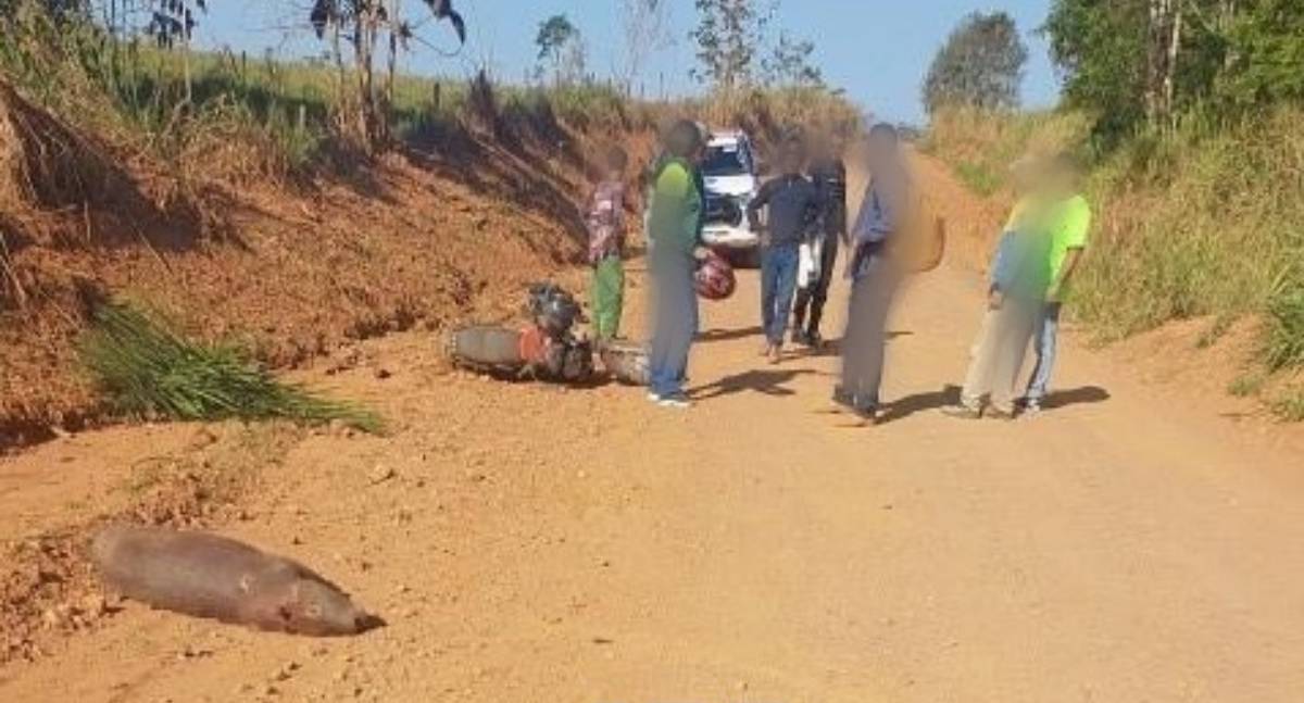 Motociclista fica ferido após colidir com capivara na zona rural