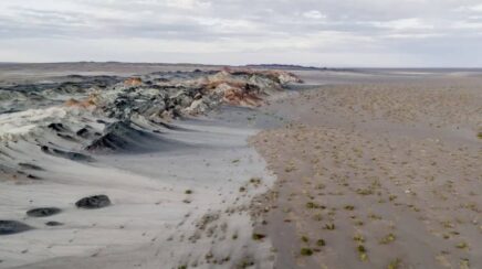 Pesquisadoras utilizam fungos subterrâneos para recuperar solos degradados e conter crise climática