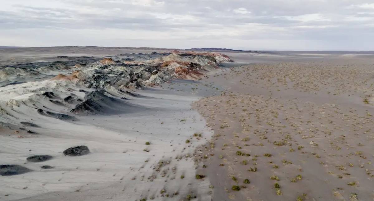 Pesquisadoras utilizam fungos subterrâneos para recuperar solos degradados e conter crise climática