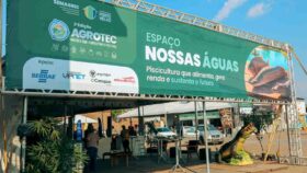 Piscicultura amazônica ganha espaço na Agrotec 2026
