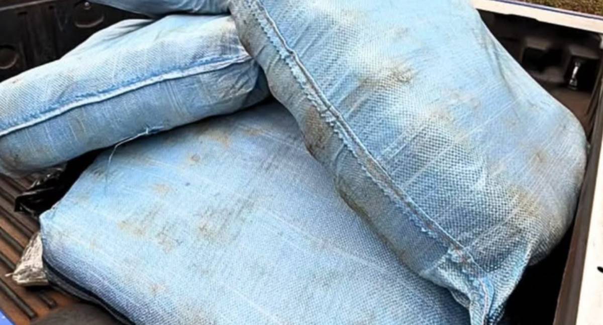 Polícia apreende 180 quilos de skunk em São Francisco do Guaporé