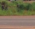 Policiais capturam último foragido de delegacia após fuga em massa em distrito de Porto Velho