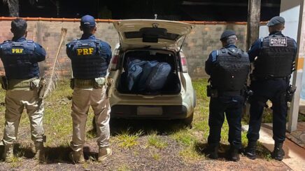 PRF e PM apreendem mais de 160 quilos de skunk em Seringueiras