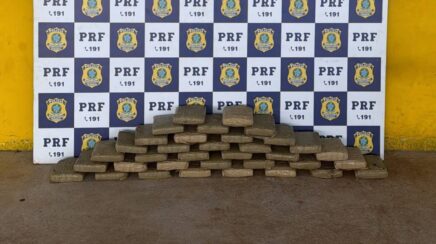PRF em Rondônia apreende aproximadamente 40 kg de skunk na BR-364