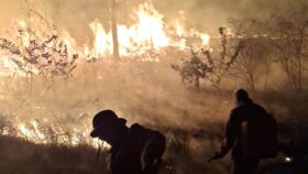 Rondônia registra 266 focos de queimadas entre 1º e 25 de agosto; áreas protegidas concentram 43 ocorrências