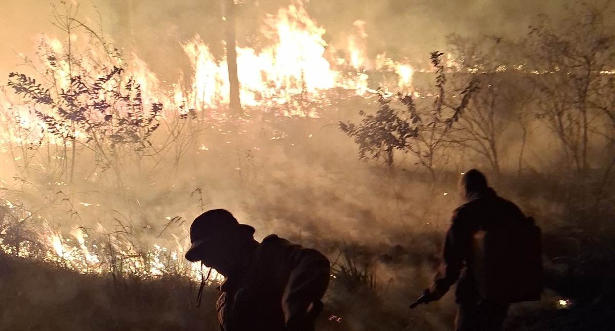 Rondônia registra 266 focos de queimadas entre 1º e 25 de agosto; áreas protegidas concentram 43 ocorrências