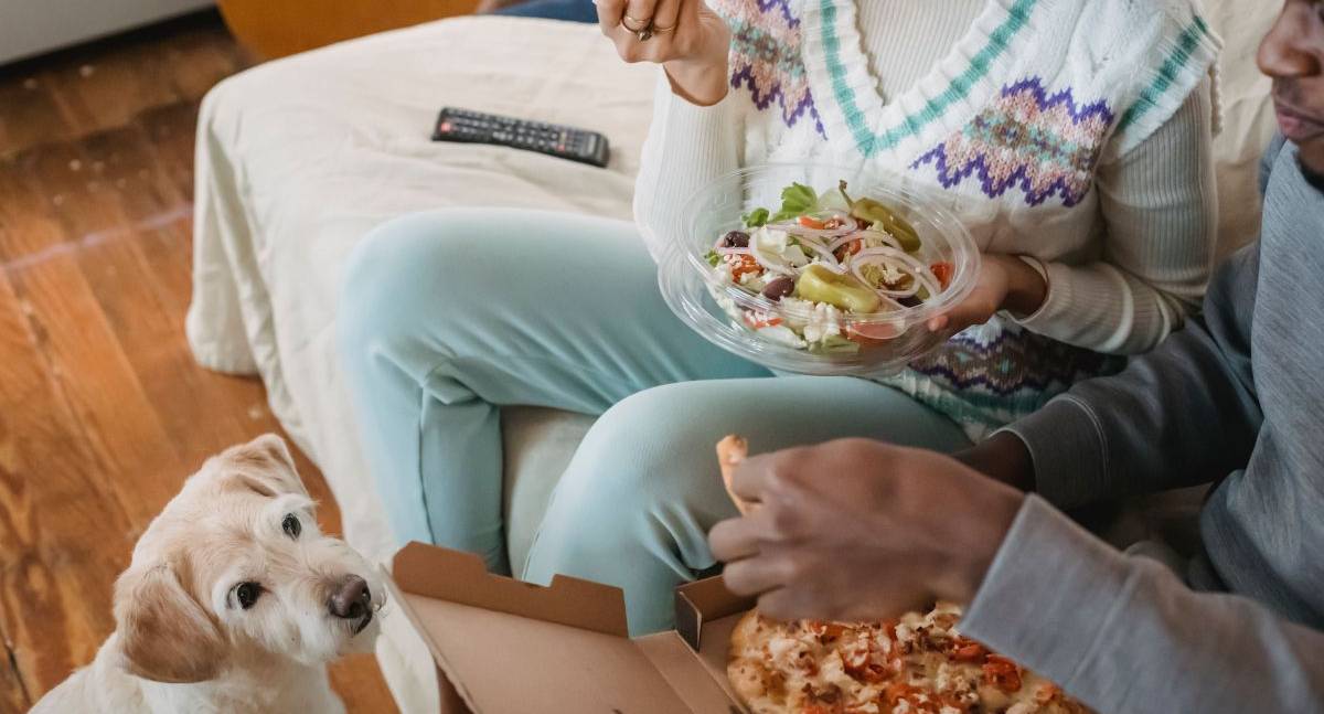 Seu pet está com fome ou apenas aprendeu a pedir comida?