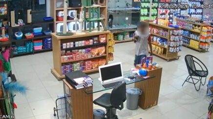 Suspeito arromba porta de vidro e furta cachorros da raça Spitz Alemão em pet shop na Avenida Calama