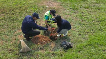 Aeroporto de Porto Velho encerra semana ambiental com plantio de ipês