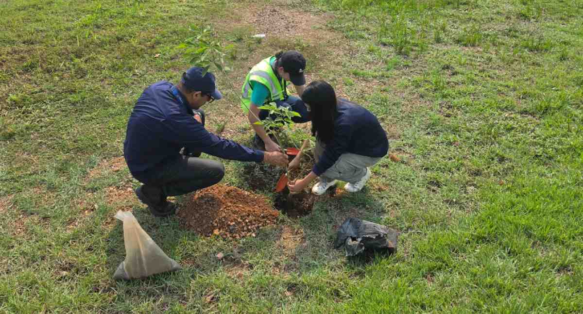Aeroporto de Porto Velho encerra semana ambiental com plantio de ipês