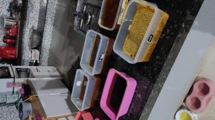 Forças de segurança apreendem 3,6 toneladas de drogas e prendem quatro em Monte Negro