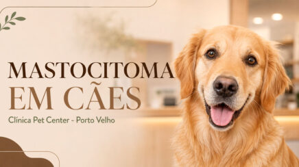 Mastocitoma em cães: diagnóstico precoce amplia as chances de tratamento