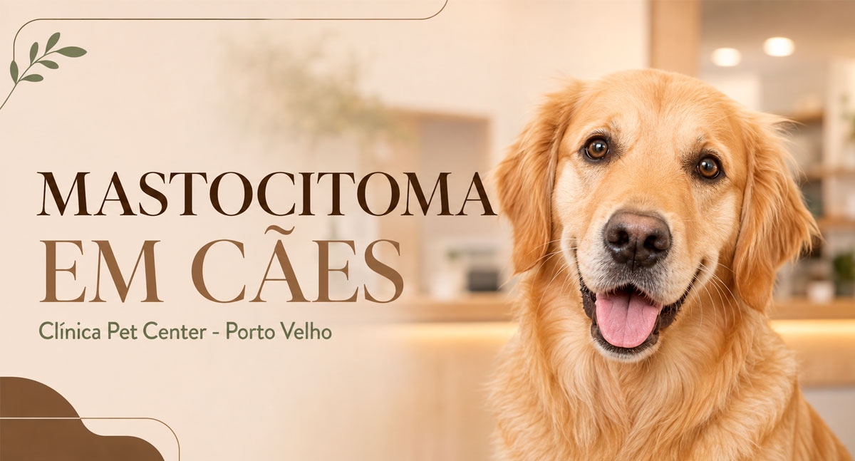 Mastocitoma em cães: diagnóstico precoce amplia as chances de tratamento