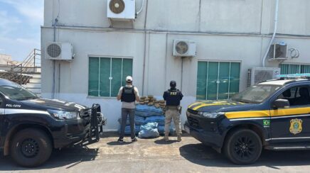 Ação conjunta entre PRF e PCRO resulta na apreensão de quase 200 kg de “supermaconha” em Rondônia