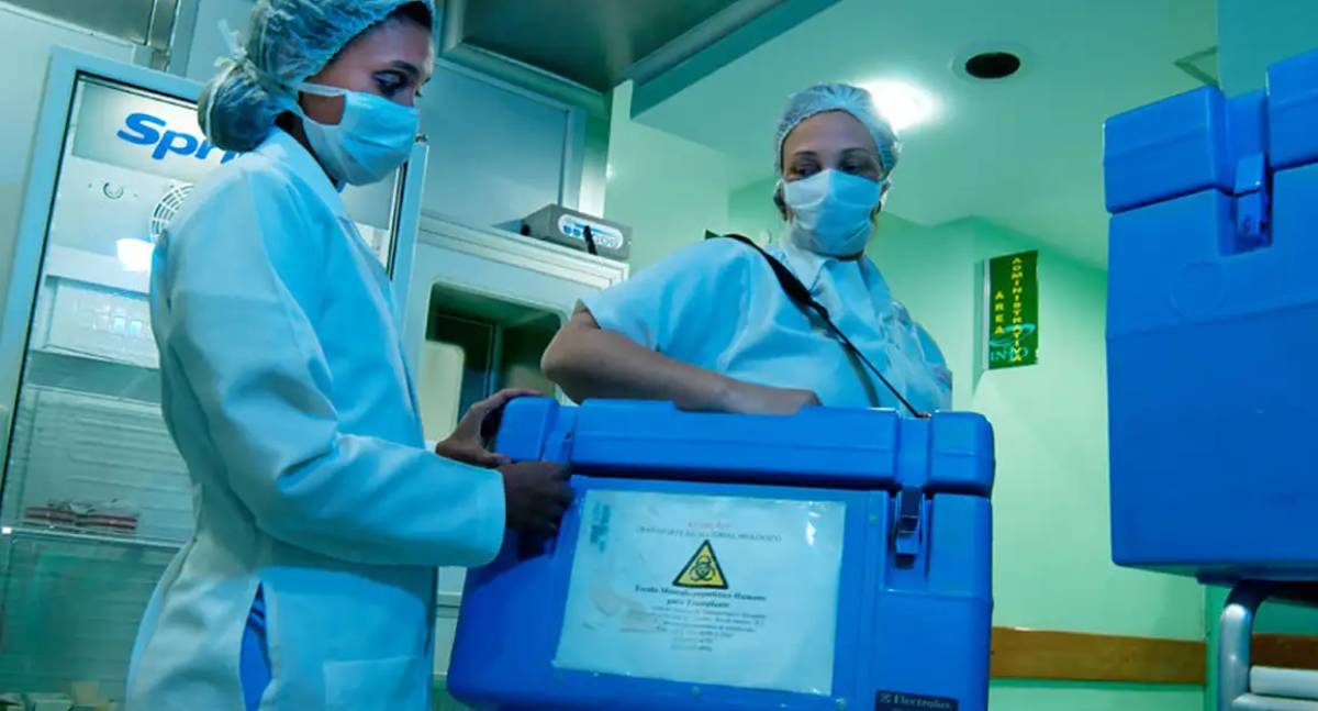 Capacitação de profissionais de saúde supera meta e busca reduzir recusa familiar em doações de órgãos no país