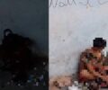 Casa abandonada gera medo e revolta em moradores do centro de Porto Velho