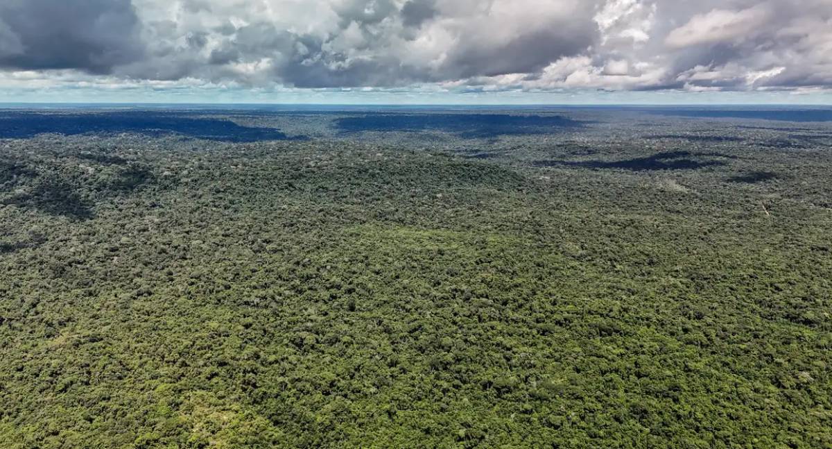 Cientistas alertam no TEDxAmazonia que devastação e seca extrema ameaçam a maior máquina de chuva do planeta
