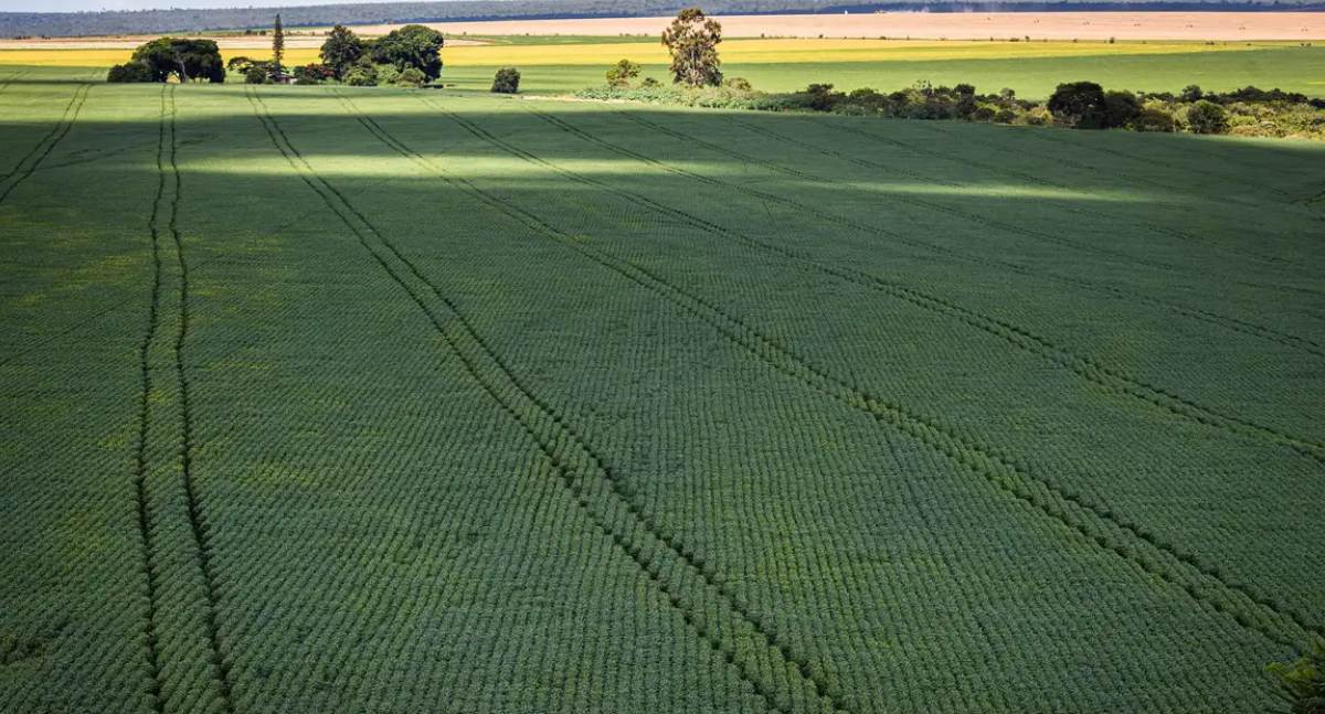 Conselho Monetário Nacional aprova novas regras para ampliar refinanciamento de dívidas de produtores rurais