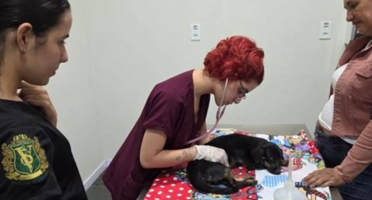 Convivência com pets pode contribuir para saúde mental, dizem especialistas