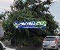 Forte temporal causa queda de árvore sobre carro e destelhamentos em RO