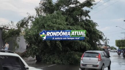 Forte temporal causa queda de árvore sobre carro e destelhamentos em RO