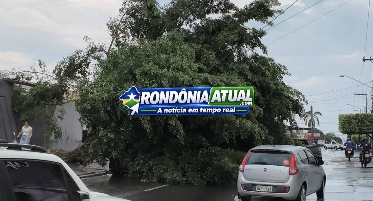 Forte temporal causa queda de árvore sobre carro e destelhamentos em RO