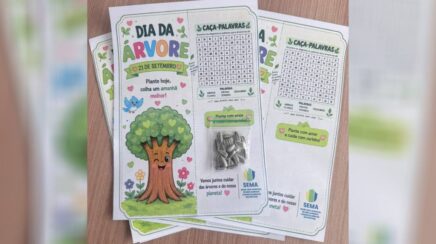Girassóis serão distribuídos no Esquenta do aniversário de Porto Velho