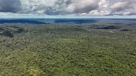 Governo brasileiro é autorizado a contratar crédito externo de até um bilhão de dólares com o BID para o Eco Invest Brasil