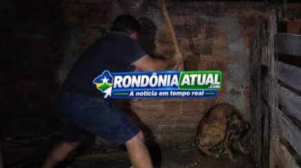 Homem é acusado de agredir cachorro com golpes de enxada após confusão em RO