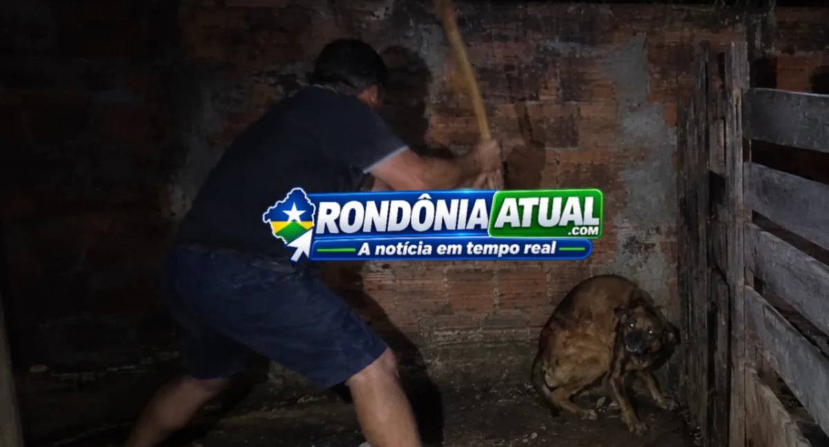 Homem é acusado de agredir cachorro com golpes de enxada após confusão em RO