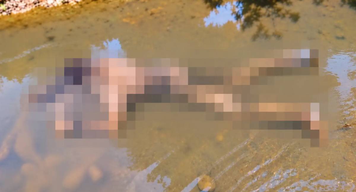 Homem é encontrado morto com múltiplos ferimentos em riacho na zona rural de RO