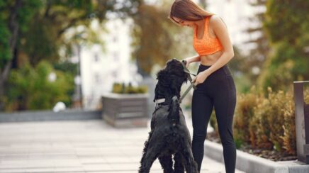 Idade e rotina definem quanto seu cão precisa se movimentar