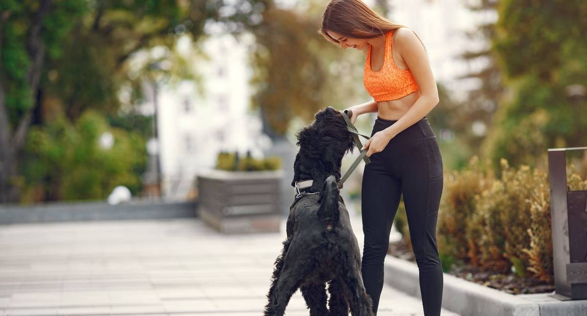 Idade e rotina definem quanto seu cão precisa se movimentar