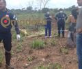 Idoso com Alzheimer desaparecido é encontrado sem vida em área de mata na zona Leste de Porto Velho