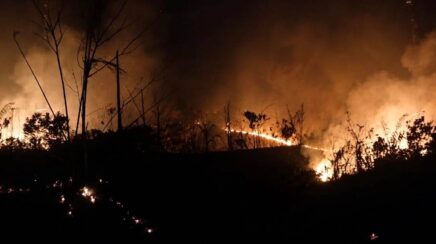 Incêndio destrói roças de comunidade indígena do povo Arara e mobiliza campanha de solidariedade em RO
