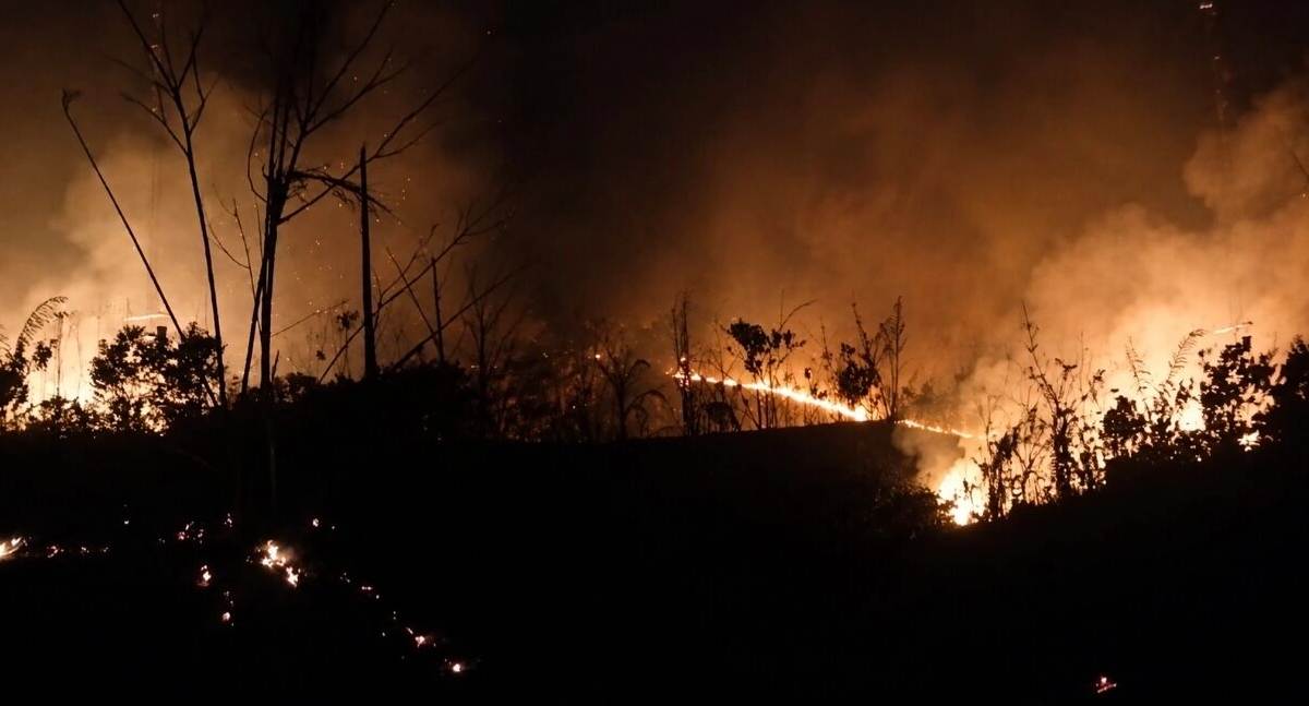 Incêndio destrói roças de comunidade indígena do povo Arara e mobiliza campanha de solidariedade em RO